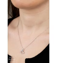 SWAROVSKİ TAŞLI  ZİRCONİA YUSUFÇUK 925 AYAR GÜMÜŞ KOLYE