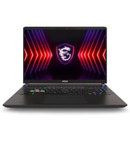 MSI Vector 16 HX A13VHG-495TR i7-13700HX 16 GB 1 TB SSD RTX4080 16" Gaming Lapto