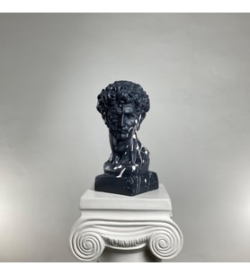 David 'White Splash' Dekoratif Heykel, Pop Art Roma Yunan Heykelleri