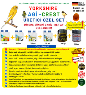 Yorksihire-AGİ ve Crest Kanarya Üreticilere Özel Full Set 6 parça Üreme Dönemi dahil 12 Aylık Set
