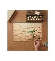 Kurak Toprakta Bitki Tasarımı 240 parça Ahşap Puzzle Ahşap Kutuda MP09005