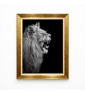 Tablore Kükreyen Aslan Siyah Beyaz Lüks Altın Çerçeveli Salon Ofis Duvar Tablosu