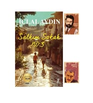 Salkım Sokak No: 3 -  İclal Aydın  Romanları - Artemis Yayınları - Not Defterli (Renksiz)