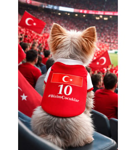 Milli Takım Forma Köpek Kedi Taraftar Forması