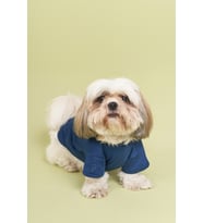 Salya Store Köpek Tshirt Pou Serisi - İndigo 0-30kg Köpek Kıyafeti (INDIGO-LACIVERT)