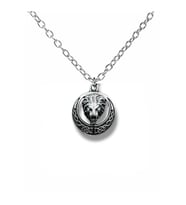 Lion’s Emblem – Gotik Aslan Kafası Daire Figürlü Unisex Kolye (60 cm Zincirli) (Gümüş)