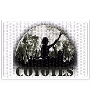 Coyotes Dj Puzzle 240 Parça Yapboz