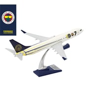 Zekupp Boeing 737-800 1/100 Ölçek Fenerbahçe Lisanslı 1907 Tasarım Maket Uçak  (UCK0187)