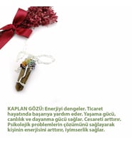 Kaplan Gözü Gümüş Zincirli Çakra Taşlı Kolye Ucu-Ametist,Sitrin,Zebercet,Akik,Lal,Sodalit  M180