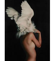 Kanatlanmak Sayılarla Boyama Seti 40x50 cm (Tuvale Gerili)