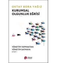 Kurumsal Olgunluk Eğrisi