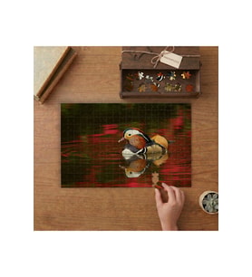 Mandarin Ördeği Tasarımı 240 parça Ahşap Puzzle Ahşap Kutuda MP09604
