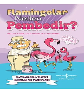 Flamingolar Neden Pembedir?