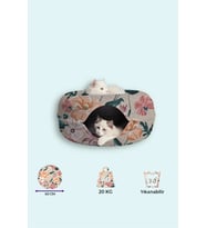 Renkli Desenli Kedi Tüneli ve Yatak, Eğlenceli Donut Kedi Oyuncağı