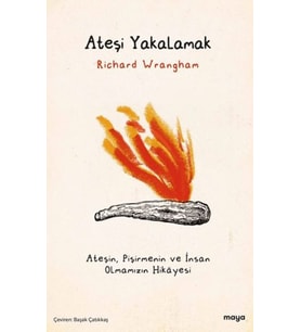 Ateşi Yakalamak
