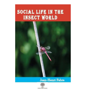 Social Life in the Insect World