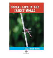 Social Life in the Insect World