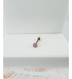 Tragus Kıkırdak Küpesi