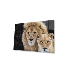 Aslan Cam Tablo 4mm Dayanıklı Temperli Cam (Çok Renkli)
