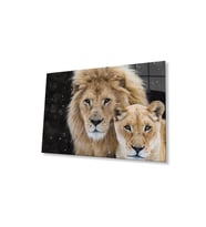 Aslan Cam Tablo 4mm Dayanıklı Temperli Cam (Çok Renkli)