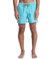 Quiksilver Everyday 15 Erkek Deniz Şortu