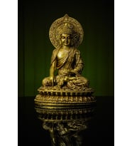 Narçiçeği Özel Tasarım Sidarta Gothama -Buda- Buddha Altın Heykel Biblo