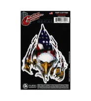 Planet Waves GT77094 Gitar Tattoo Rip N Tear Eagle Sticker  Kolay Uygulanır - İz Bırakmaz - Şık Tasarım