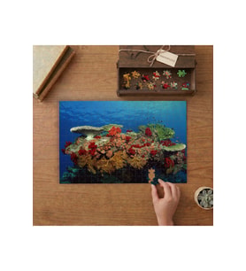Mercan Resifleri - Sualtı Canlıları - Okyanus Tasarımı 240 parça Ahşap Puzzle Ahşap Kutuda MP02438
