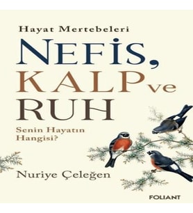 Nefis, Ruh