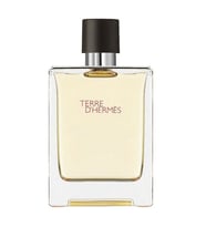 Hermes Terre D'Hermes EDT 100 ml Erkek Parfümü