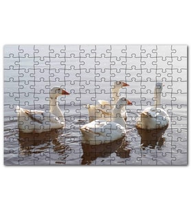 Cakapuzzle Gölde Süzülen Kazlar ve Güneş Işıkları Puzzle Yapboz MDF (Ahşap) (120 Parça)