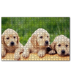 Cakapuzzle Kütüğün Üzerinde Üç Sevimli Labrador Puzzle Yapboz MDF (Ahşap) (120 Parça)