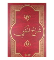 Şerh'ül-Muğni