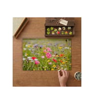 Rengarenk Gelincikler - Gelincik Tarlası Tasarımı 240 parça Ahşap Puzzle Ahşap Kutuda MP04668