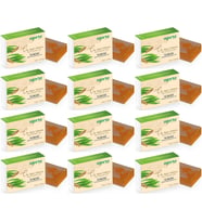 Agarta El Yapımı Doğal Sabun 150GR Çay Ağacı (12 Li Set)