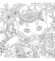 Bigpoint Baskılı Pres Tuval 30x30cm Kedi