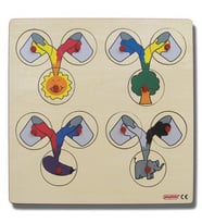 RENK KARIŞTIRMA PUZZLE (30x30 cm)