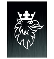 Scanıa R Logo Oto Sticker 35*25 Cm