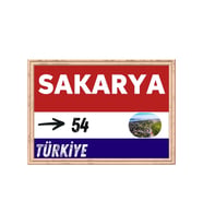 Sakarya Tablo - Retro Tablo