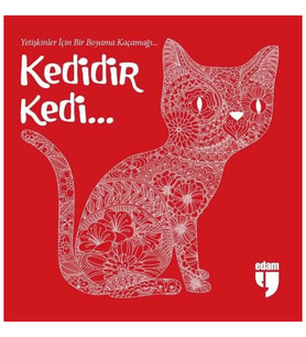 Kedidir Kedi...