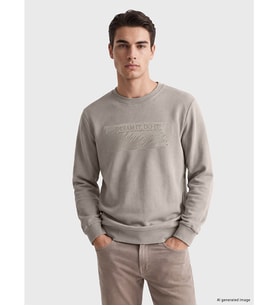 LCWAIKIKI Classic Bej Bisiklet Yaka Baskılı Kalın Erkek Sweatshirt