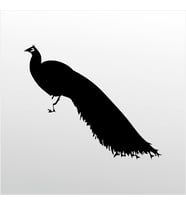 Folyo Sticker Tavuz Kuşu 20cm uzunluk (Karışık)