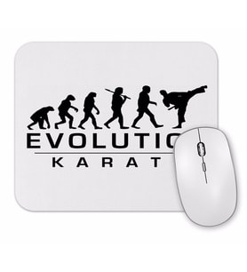 Karate Evolution Mouse Pad