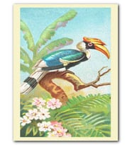 Cakatablo MDF (Ahşap) Tablo Casqued Hornbill Kuş Görseli