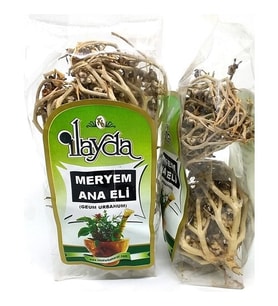 Ilayda Meryem Ana Eli Otu
