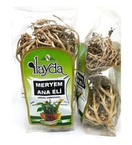 Ilayda Meryem Ana Eli Otu