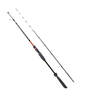 Ryuji Spectra SP 185cm 50-300gr 2 Parça Bot Kamışı