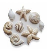 Mini Deniz Ürünleri Silikon Kalıp 8 Cm