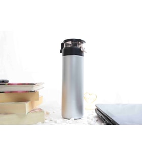 Gümüş Renk Cam Suluk & Termos - 550 ml