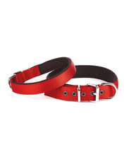 Doggie Konfor Seri Dokuma Köpek Boyun Tasması 5x50-60cm Kırmızı